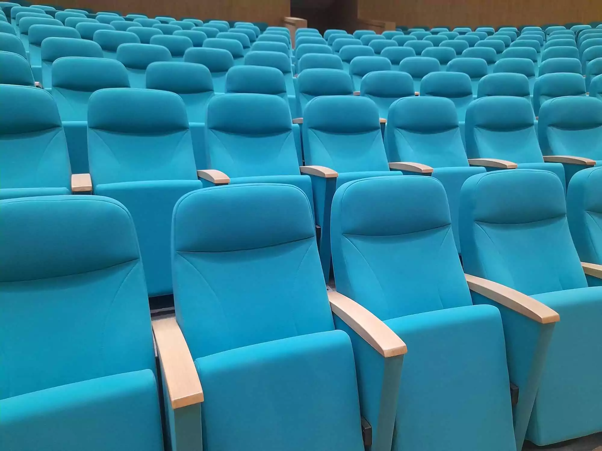 VIP Chairs in High Level Conference Spaces